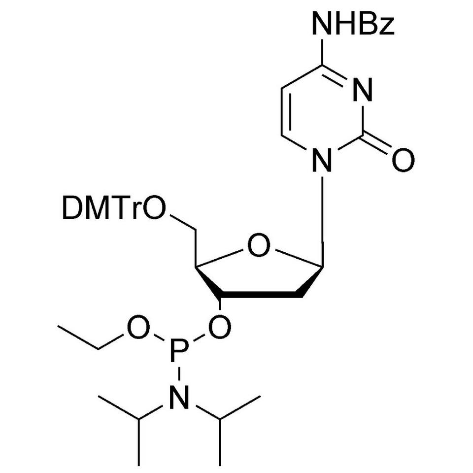 dC (Bz) Et-Phosphoramidite